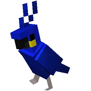 Dancing-Blue-Parrot-Named-Kwiek